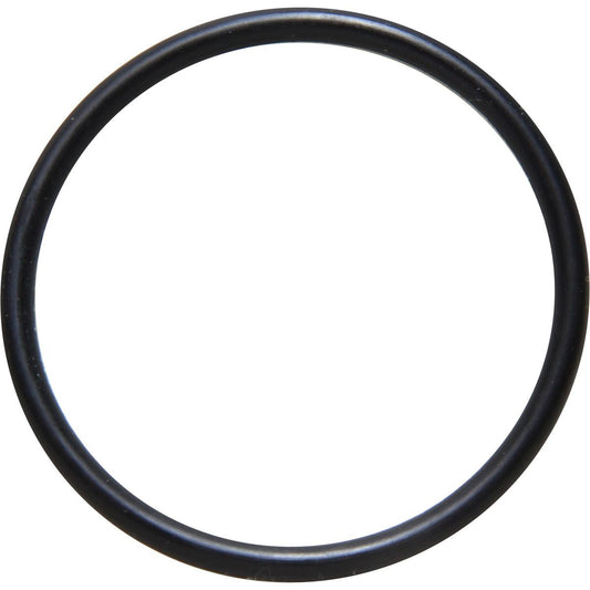 Sherwood Water Strainer O Ring (1/2" & 3/4") SW11805