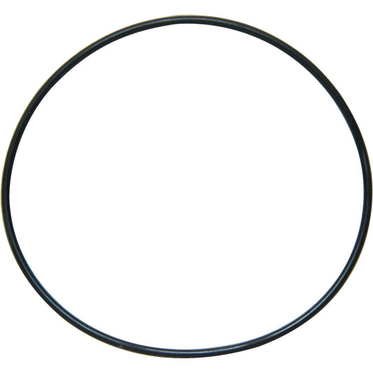 Sherwood 12231 O-Ring for Sherwood Pump End Cover SW12231