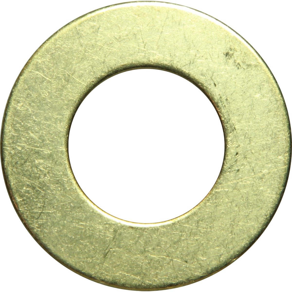 Sherwood 19614 Washer for Sherwood P1700 Series Pumps SW19614