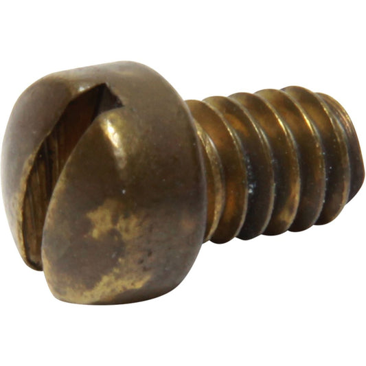 Sherwood Cam Plate Screw 19673 for Sherwood P171, P1712 and P172 Pumps SW19673